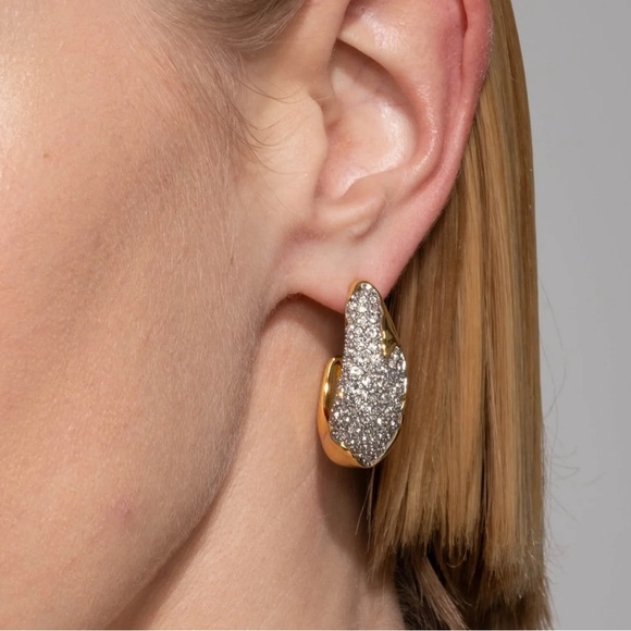 Alexis Bittar Solanales Crystal Hoop Earrings - Picture 3 of 6